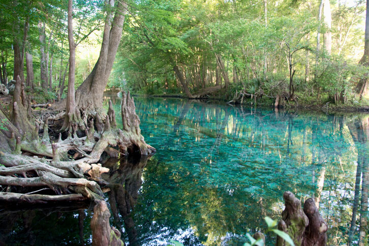 6 Places To Visit Near Gainesville
