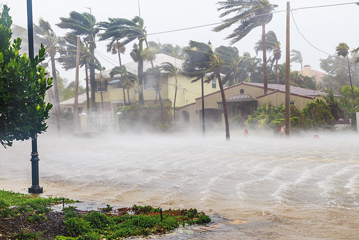 Image of Tropical Storm Nicole